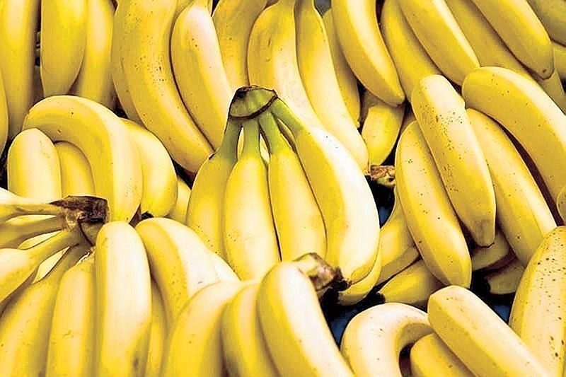 âVietnam overtaking Philippines as Chinaâs top banana supplier long expectedâ