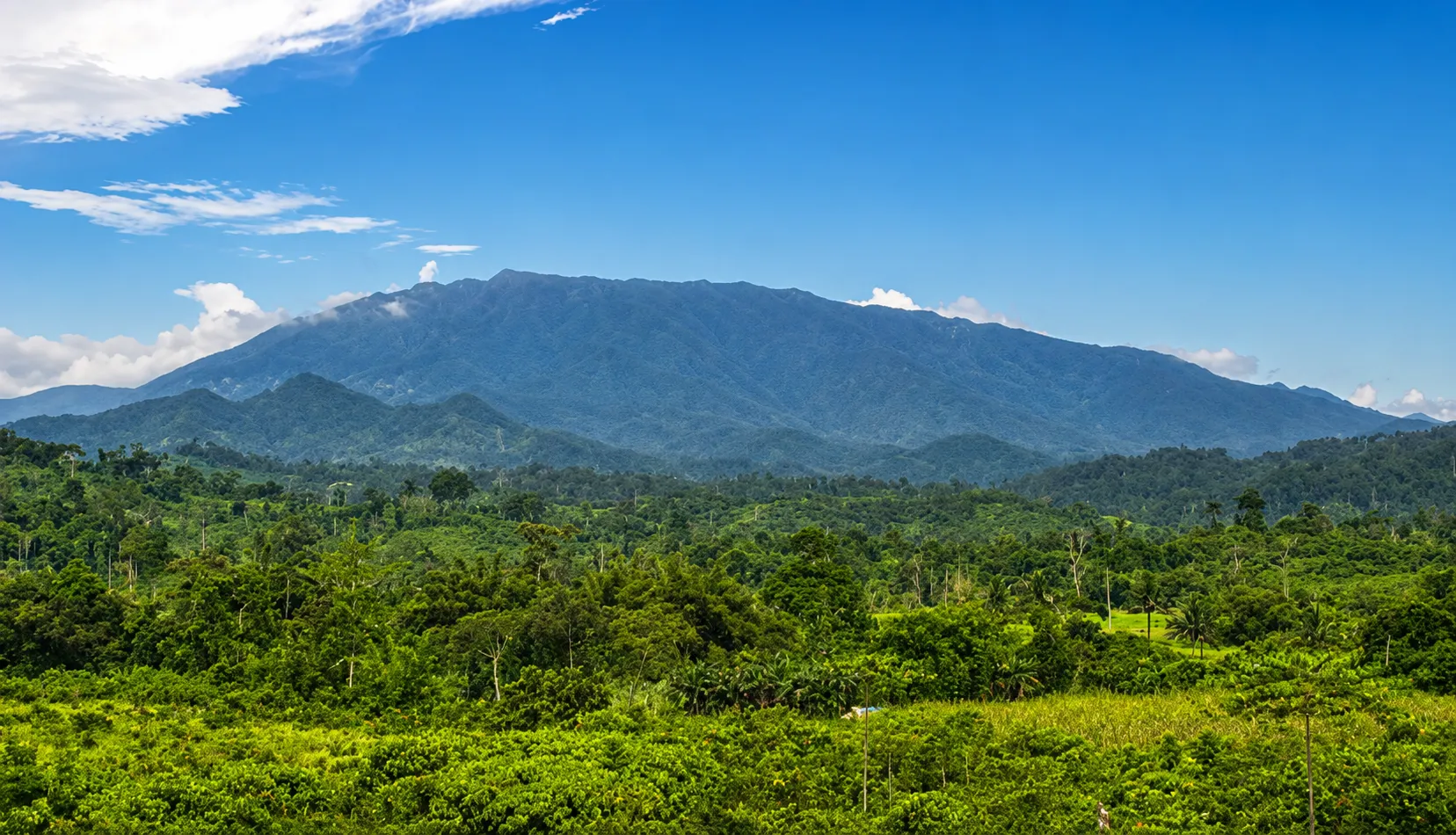 Palawan council approves 50-year mining permit freeze; awaiting governorâs signature